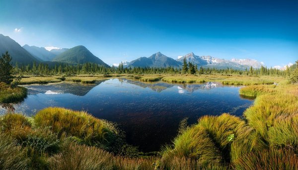 Quels sont les meilleurs itinéraires pour une croisière sur le fleuve Congo, République Démocratique du Congo?