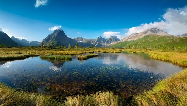 Globe Trotteuses En Aventure