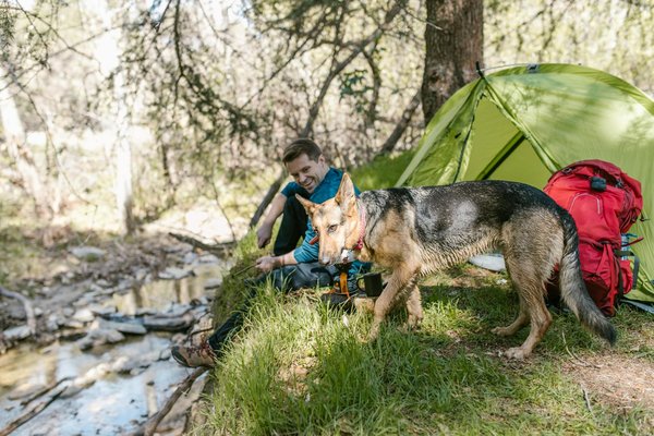 Comment organiser une expédition pour observer les ours bruns dans le parc national de Katmai, Alaska?